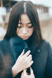 狂热郁金香